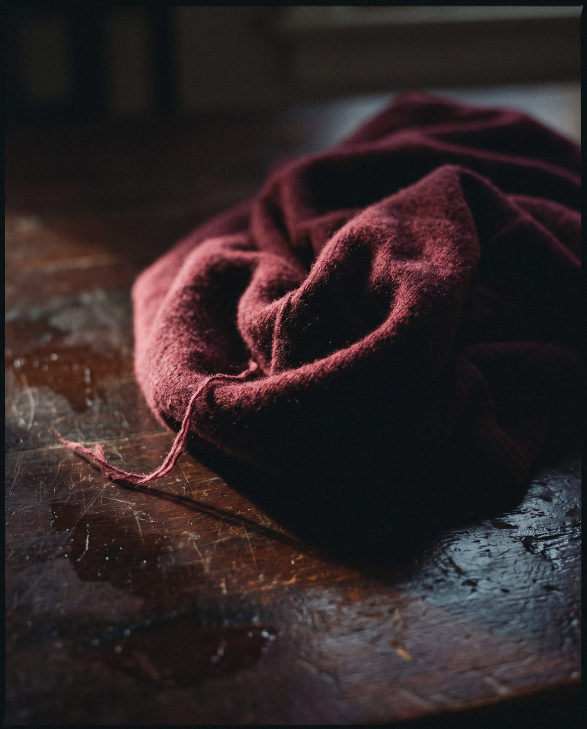 ScentDay Berry Dangerous cashmere editorial