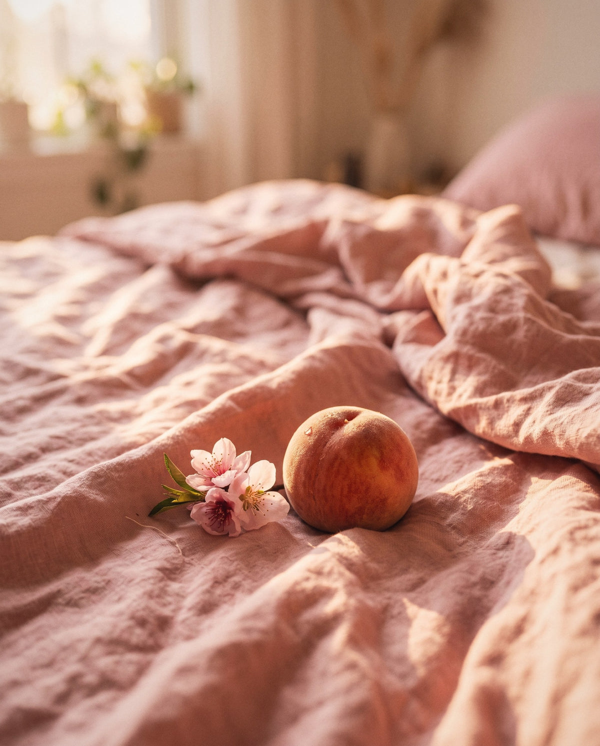 ScentDay Peach Please morning editorial