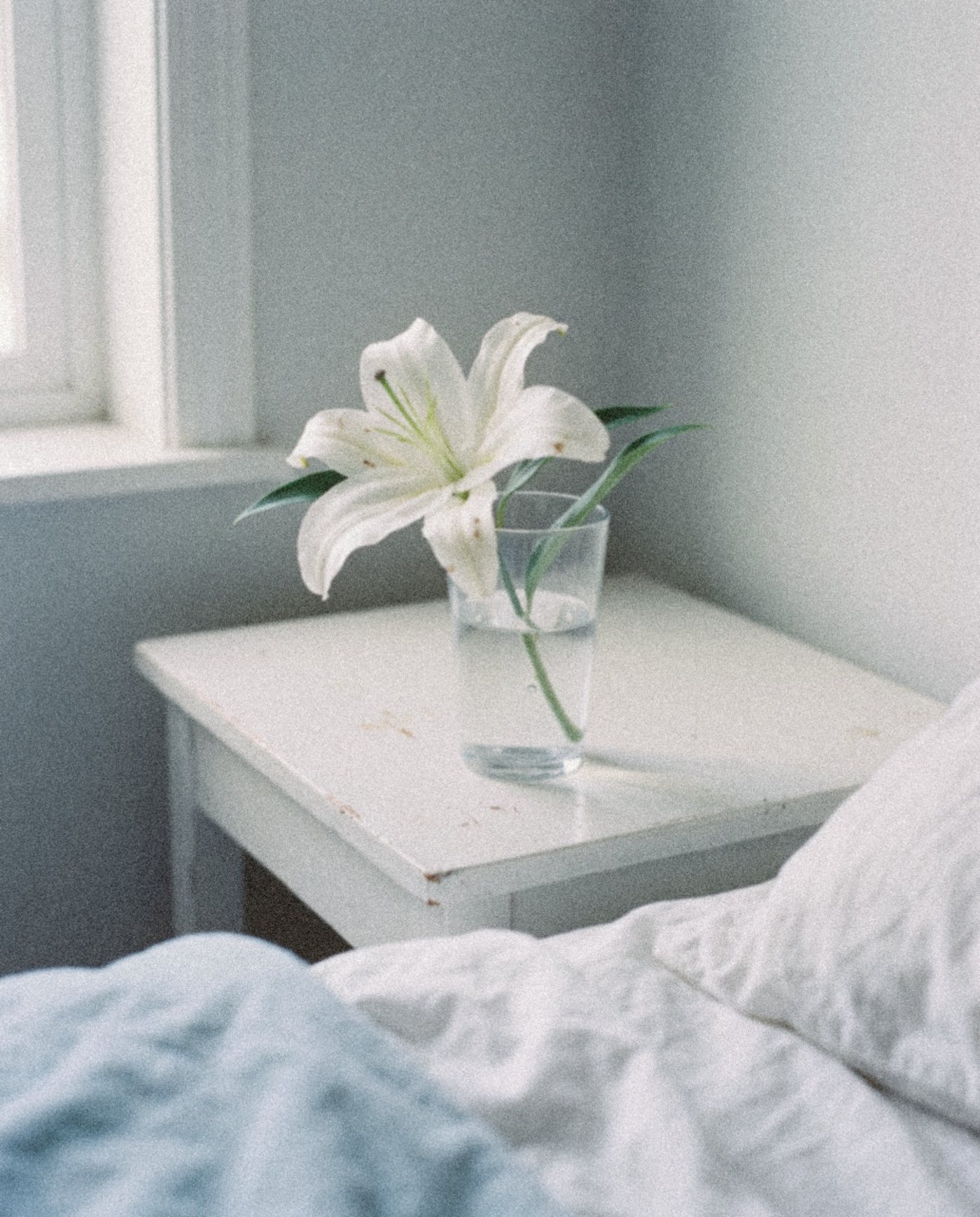 A single white lily in a glass of water on a bedside table